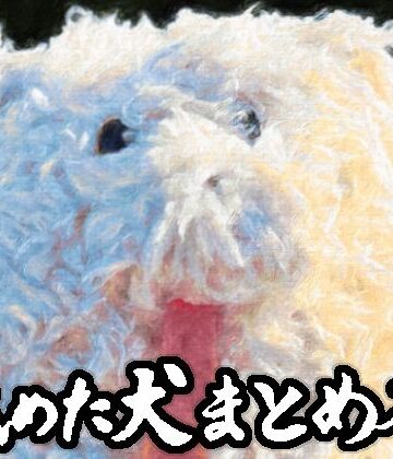 舐めた犬まとめ本|ギャグ・コメディ❤舐めた犬ー評価4.86