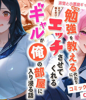勉強を教える代わりにエッチをさせてくれるギャルが俺の部屋に入り浸る話 〜清楚と小悪魔ギャルの純愛編〜|制服❤夜の快楽ー評価