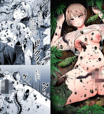 異物|異物挿入❤てるてるがーるー評価